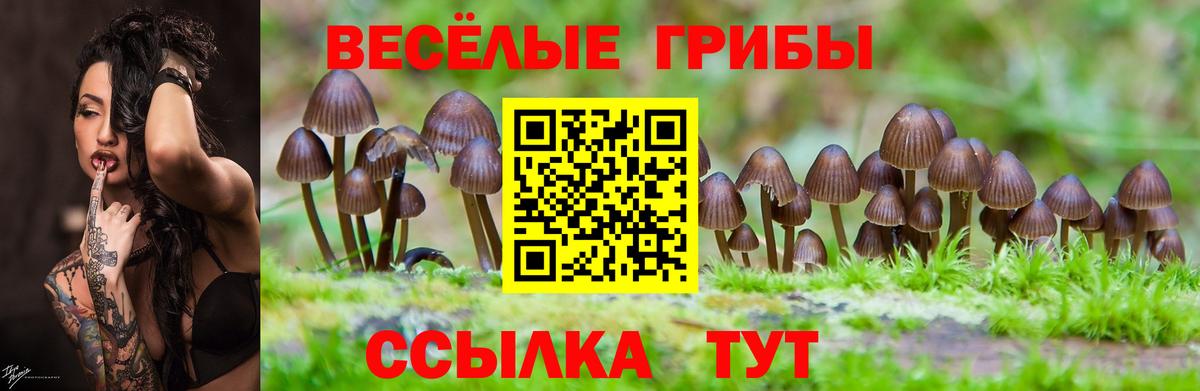 Кострома  Галлюциногенные грибы мухоморы  Вход с VPN 